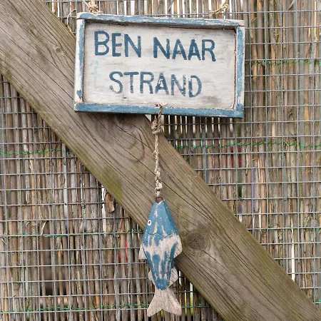 In Near Dunes Schoorl