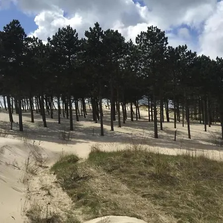 In Near Dunes Schoorl