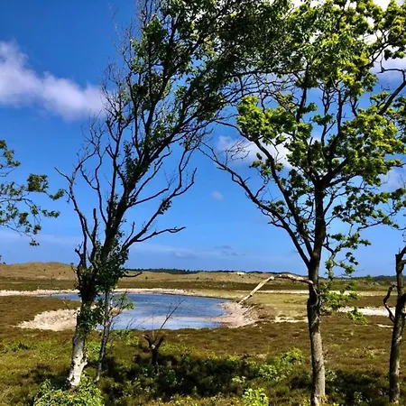 Apartment In Near Dunes Schoorl
