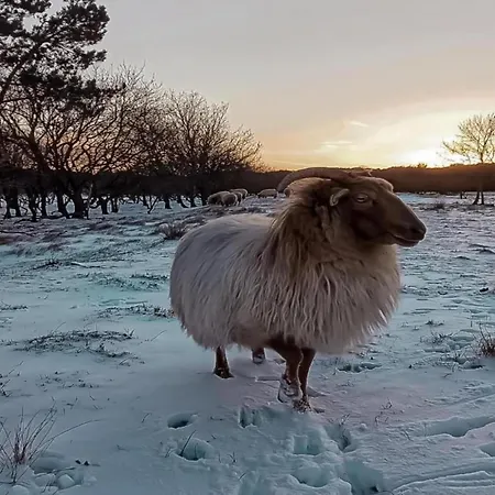 In Near Dunes Apartment