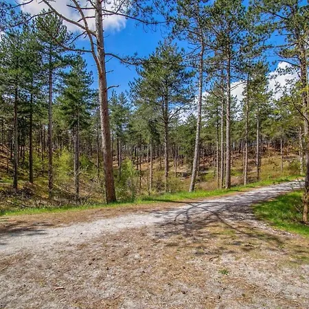 In Near Dunes Apartment Schoorl