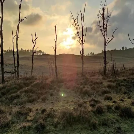 In Near Dunes *