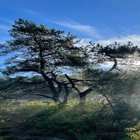 In Near Dunes Διαμέρισμα *