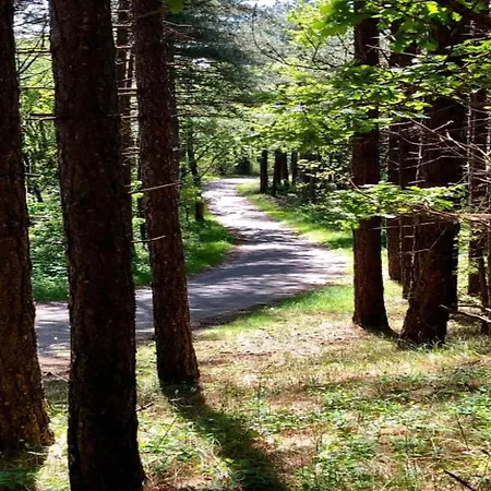 Διαμέρισμα In Near Dunes Σχόορλ
