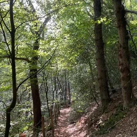 In Near Dunes Σχόορλ