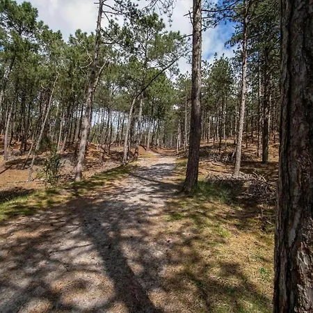 In Near Dunes * Σχόορλ