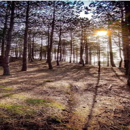 In Near Dunes Διαμέρισμα Σχόορλ